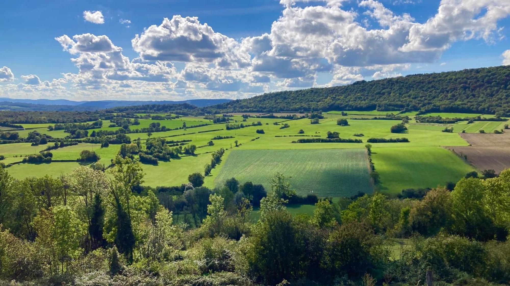 Spacious In Old Farm Close To De Vouglans
